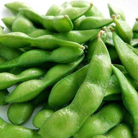 Edamame, photographed