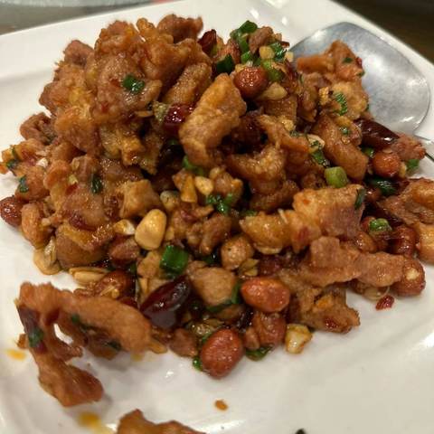 Gong Bao Chicken, photographed