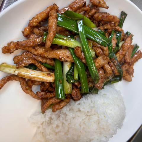Pork with Scallion over Rice, photographed
