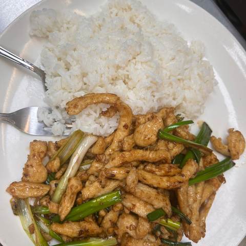 Chicken Scallion with Chili over Rice, photographed